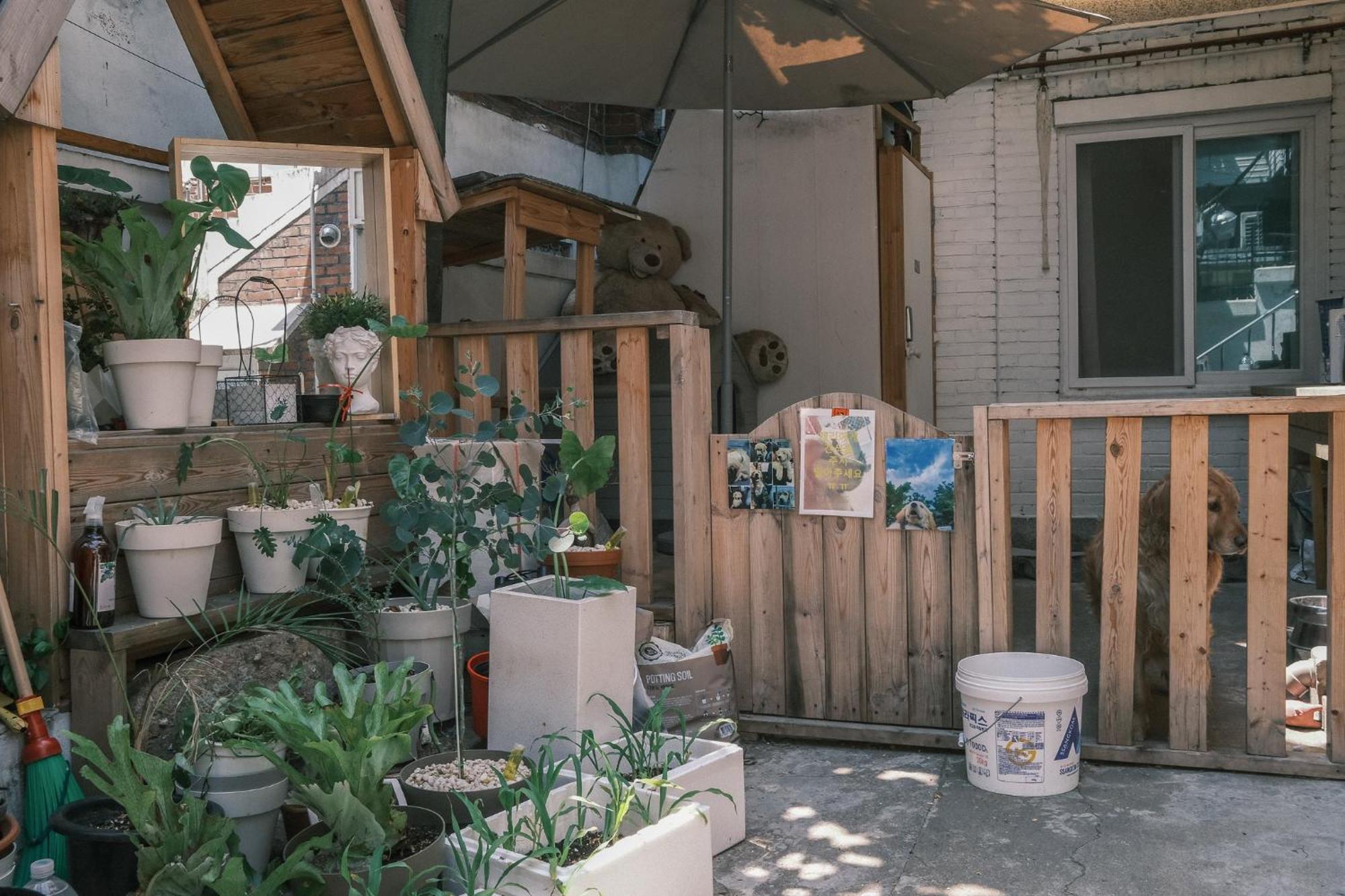Helloworld Guesthouse Seoul Exterior foto